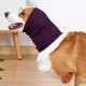Yaopelky Calming Earmuffs for Dogs - Noise Protection, Anxiety Relief Headband, Noise Cancelling for Fireworks, Thunderstorms, Grooming Aid (Purple, S) Yaopelky Calming Earmuffs for Dogs - Noise Protection, Anxiety Relief Headband, Noise Cancelling for Fireworks, Thunderstorms, Grooming Aid (Purple, S)