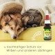 cdVet MILBENEX Vet Ear Cleaner 50 ml cdVet MILBENEX Vet Ear Cleaner 50 ml