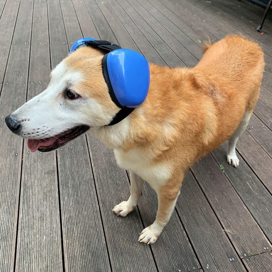 derYEP Dog Earmuffs for Hearing Protection, 29dB NRR Earmuffs, Noise Protection (Small, Pink) derYEP Dog Earmuffs for Hearing Protection, 29dB NRR Earmuffs, Noise Protection (Small, Pink)