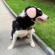 derYEP Dog Earmuffs for Hearing Protection, 29dB NRR Earmuffs, Noise Protection (Small, Pink) derYEP Dog Earmuffs for Hearing Protection, 29dB NRR Earmuffs, Noise Protection (Small, Pink)