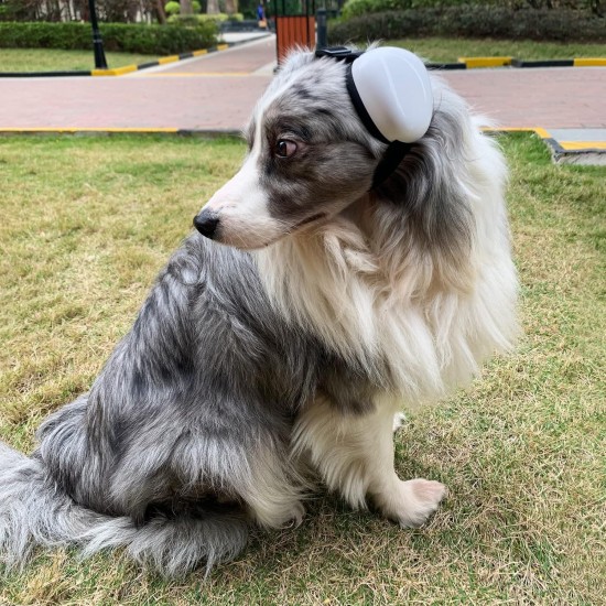 derYEP Dog Earmuffs for Hearing Protection, 29dB NRR Earmuffs, Noise Protection (Small, Pink) derYEP Dog Earmuffs for Hearing Protection, 29dB NRR Earmuffs, Noise Protection (Small, Pink)