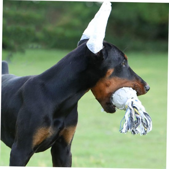 minkissy 1 Set Dobermann Pinscher Ear Stick Puppy Dog Ear Stand Up Tape Ear Standing Aid Ear Standing Tool Ear Stand Up Support Dedicated Tape Big Dog Suite Accessories Foam minkissy 1 Set Dobermann Pinscher Ear Stick Puppy Dog Ear Stand Up Tape Ear Standing Aid Ear Standing Tool Ear Stand Up Support Dedicated Tape Big Dog Suite Accessories Foam