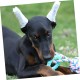 minkissy 1 Set Dobermann Pinscher Ear Stick Puppy Dog Ear Stand Up Tape Ear Standing Aid Ear Standing Tool Ear Stand Up Support Dedicated Tape Big Dog Suite Accessories Foam minkissy 1 Set Dobermann Pinscher Ear Stick Puppy Dog Ear Stand Up Tape Ear Standing Aid Ear Standing Tool Ear Stand Up Support Dedicated Tape Big Dog Suite Accessories Foam
