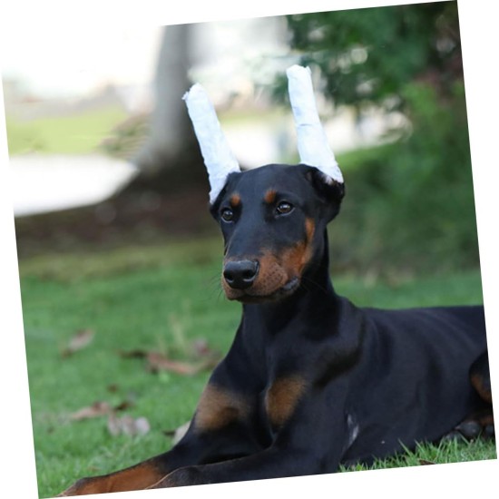 minkissy 1 Set Dobermann Pinscher Ear Stick Puppy Dog Ear Stand Up Tape Ear Standing Aid Ear Standing Tool Ear Stand Up Support Dedicated Tape Big Dog Suite Accessories Foam minkissy 1 Set Dobermann Pinscher Ear Stick Puppy Dog Ear Stand Up Tape Ear Standing Aid Ear Standing Tool Ear Stand Up Support Dedicated Tape Big Dog Suite Accessories Foam