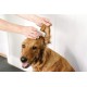 pet wiz Ear Cloths for Dogs & Cats Clean, Soothe & Disinfect with Natural Active Ingredients Aloe Vera, Witch Hazel Tea Tree Oil and Blue Chamomile Extract pet wiz Ear Cloths for Dogs & Cats Clean, Soothe & Disinfect with Natural Active Ingredients Aloe Vera, Witch Hazel Tea Tree Oil and Blue Chamomile Extract