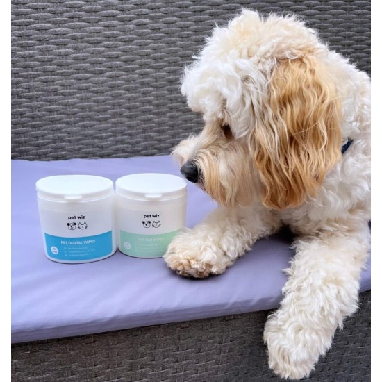 pet wiz Ear Cloths for Dogs & Cats Clean, Soothe & Disinfect with Natural Active Ingredients Aloe Vera, Witch Hazel Tea Tree Oil and Blue Chamomile Extract pet wiz Ear Cloths for Dogs & Cats Clean, Soothe & Disinfect with Natural Active Ingredients Aloe Vera, Witch Hazel Tea Tree Oil and Blue Chamomile Extract