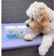 pet wiz Ear Cloths for Dogs & Cats Clean, Soothe & Disinfect with Natural Active Ingredients Aloe Vera, Witch Hazel Tea Tree Oil and Blue Chamomile Extract pet wiz Ear Cloths for Dogs & Cats Clean, Soothe & Disinfect with Natural Active Ingredients Aloe Vera, Witch Hazel Tea Tree Oil and Blue Chamomile Extract