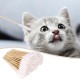 trabag Pack of 200 Cotton Buds - Long Cotton Buds, Ear Cleaner for Pets, Ear Cleaning for Dogs, Ear Cleaners for Pets, Dogs, Cats (15 cm) trabag Pack of 200 Cotton Buds - Long Cotton Buds, Ear Cleaner for Pets, Ear Cleaning for Dogs, Ear Cleaners for Pets, Dogs, Cats (15 cm)