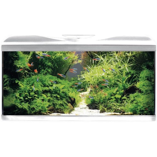 Amtra Acquario System Tank V2 - Complete Glass Aquarium 85 Litres, 11 Watt LED Light and Filter Pump Included, Fresh or Saltwater, White, 80 x 32 x 48 cm Amtra Acquario System Tank V2 - Complete Glass Aquarium 85 Litres, 11 Watt LED Light and Filter Pump Included, Fresh or Saltwater, White, 80 x 32 x 48 cm