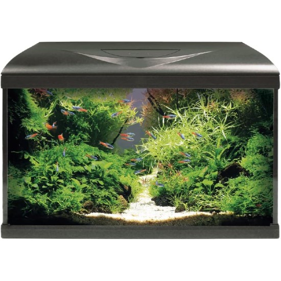 Amtra Acquario System Tank V2 - Complete Glass Aquarium 85 Litres, 11 Watt LED Light and Filter Pump Included, Fresh or Saltwater, White, 80 x 32 x 48 cm Amtra Acquario System Tank V2 - Complete Glass Aquarium 85 Litres, 11 Watt LED Light and Filter Pump Included, Fresh or Saltwater, White, 80 x 32 x 48 cm