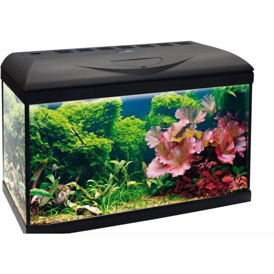 Amtra Basic 60 LED Complete Aquarium with 65 Litres, 8 Watt Lighting, Internal Filter and Heater, 60 x 32 x 42 cm Amtra Basic 60 LED Complete Aquarium with 65 Litres, 8 Watt Lighting, Internal Filter and Heater, 60 x 32 x 42 cm