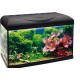 Amtra Basic 60 LED Complete Aquarium with 65 Litres, 8 Watt Lighting, Internal Filter and Heater, 60 x 32 x 42 cm Amtra Basic 60 LED Complete Aquarium with 65 Litres, 8 Watt Lighting, Internal Filter and Heater, 60 x 32 x 42 cm