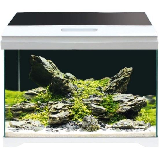 Amtra Modern Tank 40 LED Aquarium Complete with LED Lighting and Internal Filter / cm 42.5 x 23.5 x 36.5 / 28 Litres Amtra Modern Tank 40 LED Aquarium Complete with LED Lighting and Internal Filter / cm 42.5 x 23.5 x 36.5 / 28 Litres