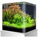 Amtra Modern Tank 40 LED Aquarium Complete with LED Lighting and Internal Filter / cm 42.5 x 23.5 x 36.5 / 28 Litres Amtra Modern Tank 40 LED Aquarium Complete with LED Lighting and Internal Filter / cm 42.5 x 23.5 x 36.5 / 28 Litres