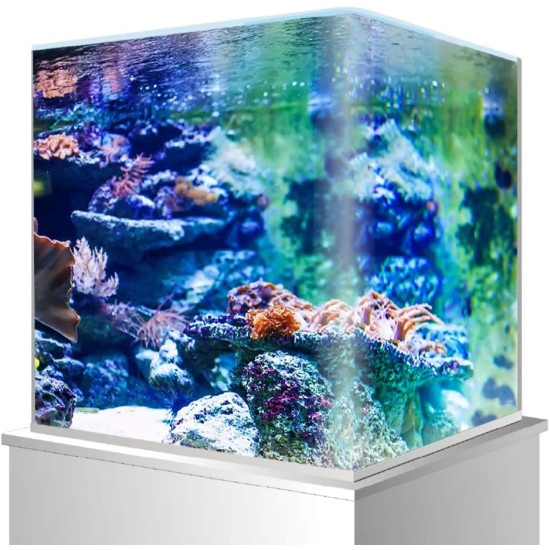 Amtra Modern Tank 40 LED Aquarium Complete with LED Lighting and Internal Filter / cm 42.5 x 23.5 x 36.5 / 28 Litres Amtra Modern Tank 40 LED Aquarium Complete with LED Lighting and Internal Filter / cm 42.5 x 23.5 x 36.5 / 28 Litres