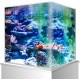 Amtra Modern Tank 40 LED Aquarium Complete with LED Lighting and Internal Filter / cm 42.5 x 23.5 x 36.5 / 28 Litres Amtra Modern Tank 40 LED Aquarium Complete with LED Lighting and Internal Filter / cm 42.5 x 23.5 x 36.5 / 28 Litres