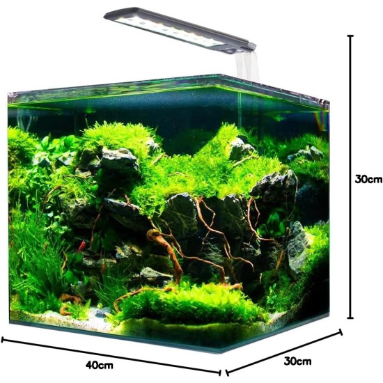 Amtra Nanotank 30 Aquarium Tank 30 Litres Glass Box Extra Clear 30 x 30 x 35 cm Pool for Goldfish or as Turtle Tank for Water Turtles with Shock Absorbing Mat Included Amtra Nanotank 30 Aquarium Tank 30 Litres Glass Box Extra Clear 30 x 30 x 35 cm Pool for Goldfish or as Turtle Tank for Water Turtles with Shock Absorbing Mat Included