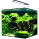 Amtra Nanotank 30 Aquarium Tank 30 Litres Glass Box Extra Clear 30 x 30 x 35 cm Pool for Goldfish or as Turtle Tank for Water Turtles with Shock Absorbing Mat Included Amtra Nanotank 30 Aquarium Tank 30 Litres Glass Box Extra Clear 30 x 30 x 35 cm Pool for Goldfish or as Turtle Tank for Water Turtles with Shock Absorbing Mat Included