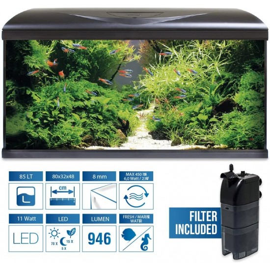 Amtra Shallow Extra Clear Glass Tub with Upholstery Mat 75 x 50 x 30 cm / 110 Litres Amtra Shallow Extra Clear Glass Tub with Upholstery Mat 75 x 50 x 30 cm / 110 Litres