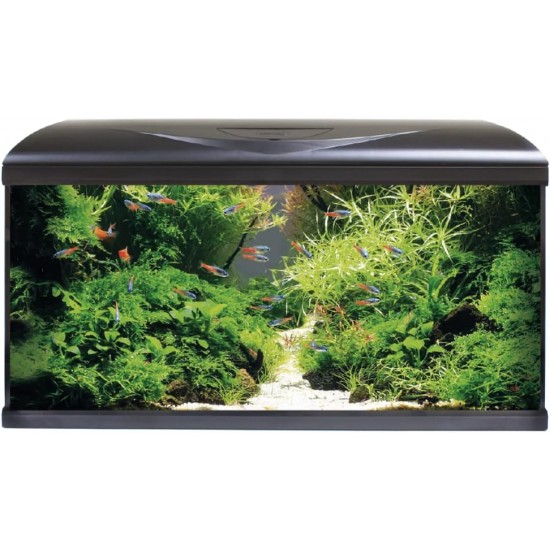 Amtra Shallow Extra Clear Glass Tub with Upholstery Mat 75 x 50 x 30 cm / 110 Litres Amtra Shallow Extra Clear Glass Tub with Upholstery Mat 75 x 50 x 30 cm / 110 Litres