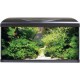 Amtra Shallow Extra Clear Glass Tub with Upholstery Mat 75 x 50 x 30 cm / 110 Litres Amtra Shallow Extra Clear Glass Tub with Upholstery Mat 75 x 50 x 30 cm / 110 Litres