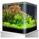 Amtra Shallow Extra Clear Glass Tub with Upholstery Mat 75 x 50 x 30 cm / 110 Litres Amtra Shallow Extra Clear Glass Tub with Upholstery Mat 75 x 50 x 30 cm / 110 Litres