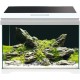Croci Amtra Modern Tank 50 LED Aquarium Complete with LED Lighting and Internal Filter / cm 50.5 x 25.5 x 40 / 40 Litres Croci Amtra Modern Tank 50 LED Aquarium Complete with LED Lighting and Internal Filter / cm 50.5 x 25.5 x 40 / 40 Litres