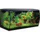 Fluval Aquarium