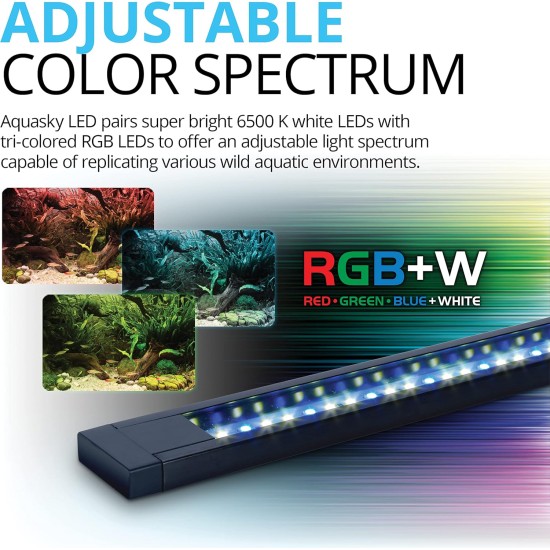 Fluval Aquarium Fluval Aquarium