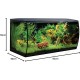 Fluval Aquarium