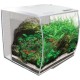 Fluval Aquarium