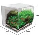 Fluval Aquarium