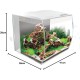 Fluval Aquarium