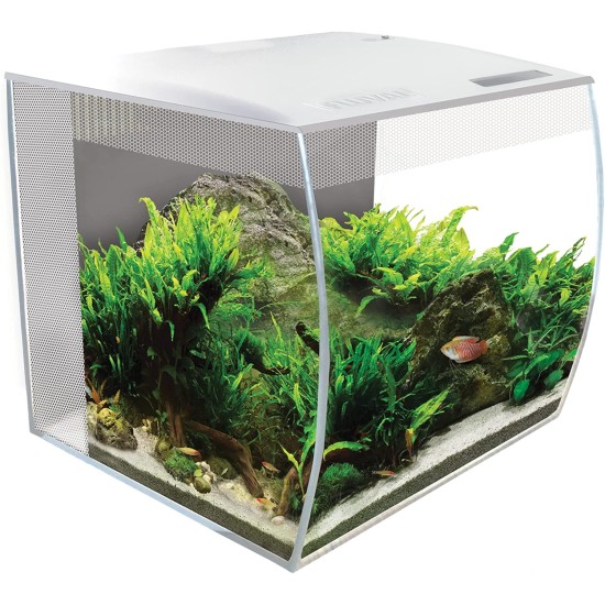 Fluval Aquarium Fluval Aquarium