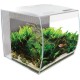 Fluval Aquarium