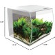Fluval Aquarium