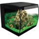 Fluval Aquarium