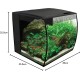Fluval Aquarium