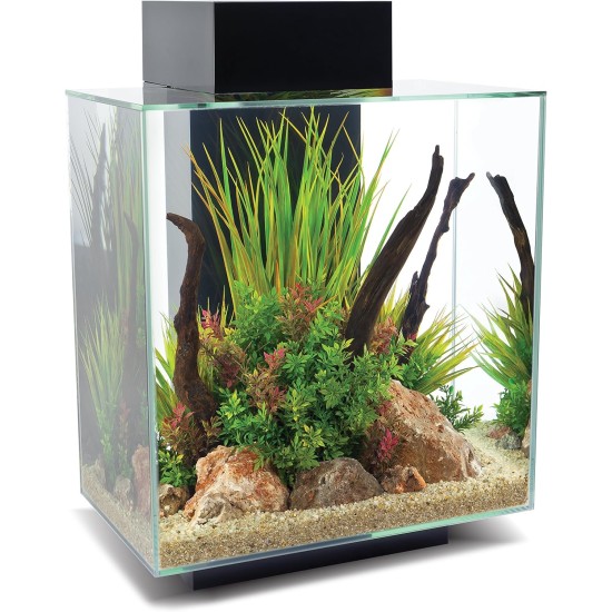 Fluval Edge 2.0 Aquarium Set with LED Lighting System, Black Fluval Edge 2.0 Aquarium Set with LED Lighting System, Black