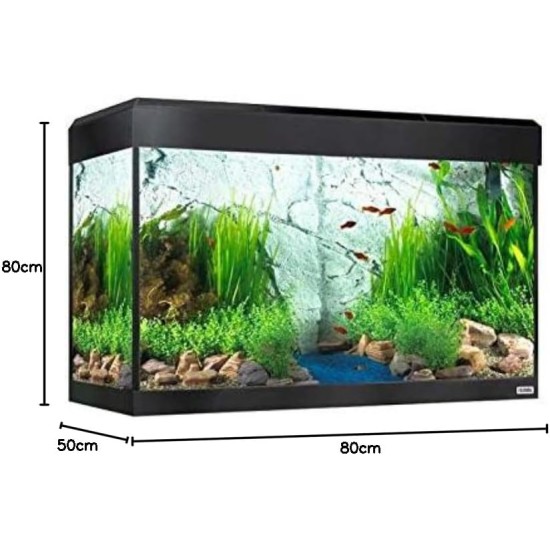 Fluval Roma 125L Bluetooth LED Aquarium Kit - Black Fluval Roma 125L Bluetooth LED Aquarium Kit - Black