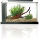 Fluval Spec Nano Aquarium 10.7 L, 10 l Fluval Spec Nano Aquarium 10.7 L, 10 l