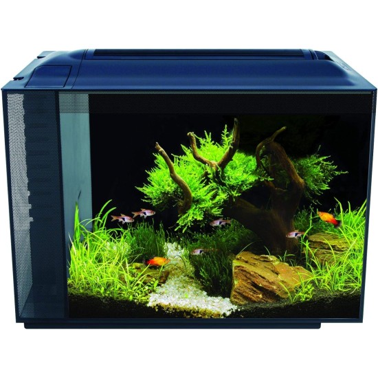 Fluval Spec XV Aquarium with 60 L Capacity, Black, Pack of 1 Fluval Spec XV Aquarium with 60 L Capacity, Black, Pack of 1