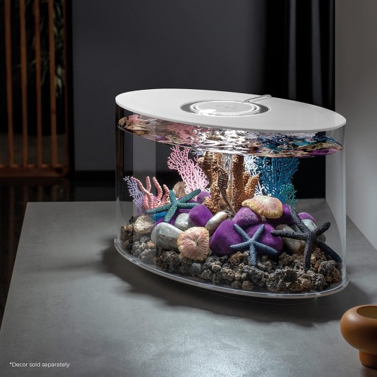 Loop 15 Aquarium with Standard Light - 4 Gallon, White without remote control Loop 15 Aquarium with Standard Light - 4 Gallon, White without remote control