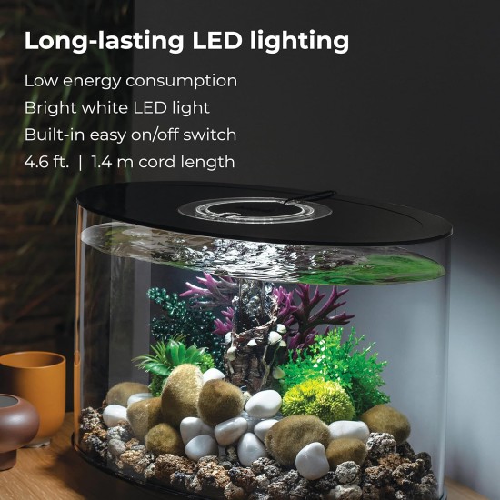 Loop 15 Aquarium with Standard Light - 4 Gallon, White without remote control Loop 15 Aquarium with Standard Light - 4 Gallon, White without remote control