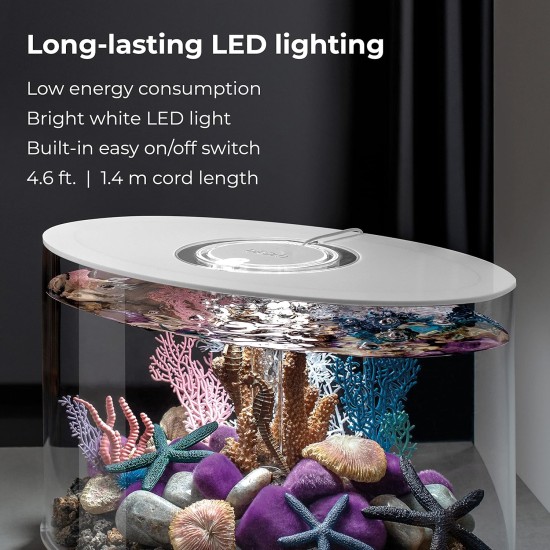 Loop 15 Aquarium with Standard Light - 4 Gallon, White without remote control Loop 15 Aquarium with Standard Light - 4 Gallon, White without remote control