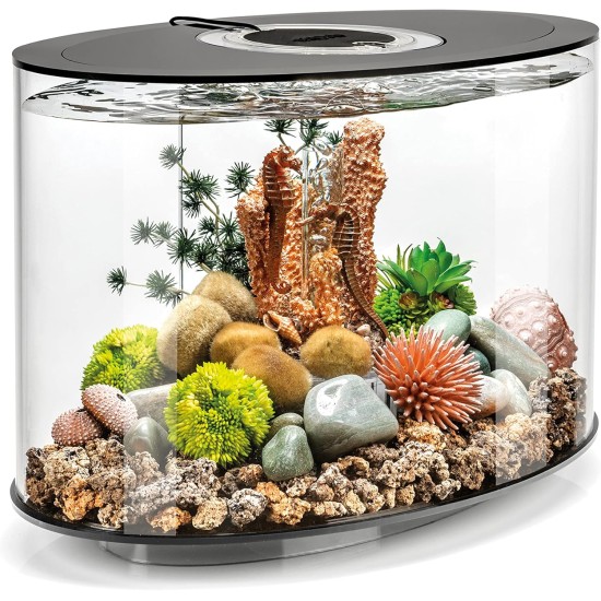 Loop 15 Aquarium with Standard Light - 4 Gallon, White without remote control Loop 15 Aquarium with Standard Light - 4 Gallon, White without remote control