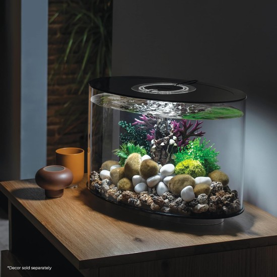Loop 15 Aquarium with Standard Light - 4 Gallon, White without remote control Loop 15 Aquarium with Standard Light - 4 Gallon, White without remote control