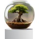 Wave Crystal Globe Blown Glass 30 Wave Crystal Globe Blown Glass 30