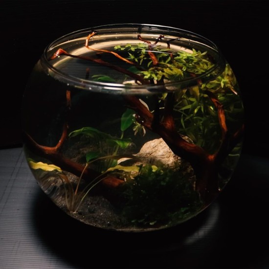 Wave Crystal Globe Blown Glass 30 Wave Crystal Globe Blown Glass 30