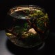 Wave Crystal Globe Blown Glass 30 Wave Crystal Globe Blown Glass 30